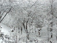 Тверскую область в ближайшие дни засыплет снегом