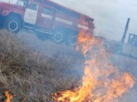 В Твери пожарные ликвидировали пал травы