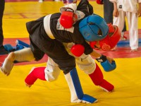 В Твери прошел турнир по боевым искусствам «Будо-2015»