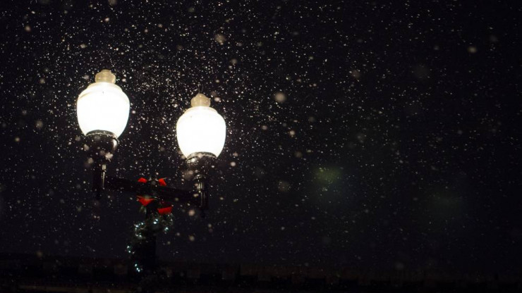 Житель Ржева расколотил светильники в парке и пошёл под суд - новости ТИА