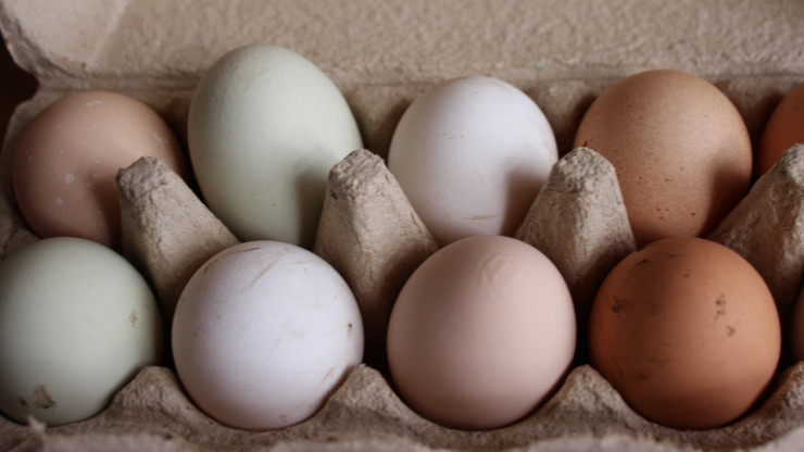 В Росптицесоюзе сообщили, что цены на яйца вряд ли снизятся - новости ТИА