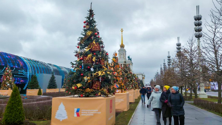 Новогодняя ель Тверской области украсила ВДНХ на выставке "Россия" - новости ТИА