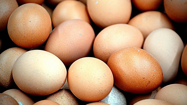В правительстве РФ надеются, что цены на яйца начнут снижаться после Нового года - новости ТИА