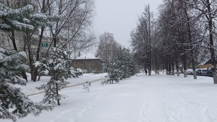 В Твери ищут подрядчиков для вывоза снега с улиц города - новости ТИА