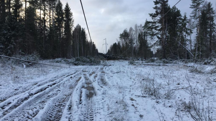 Восстановлено электроснабжение 75% потребителей после снегопада в Тверской области - новости ТИА