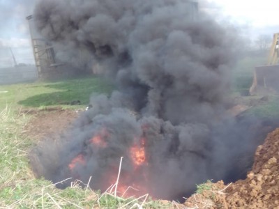 В Тверской области погибших на ферме животных сожгли в специальной яме - новости ТИА