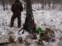 В Тверской области истребляют лосей и кабанов: браконьерам грозят миллионные штрафы и лишение свободы - новости ТИА
