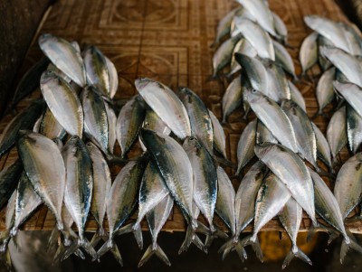 На Центральном рынке Твери торговали сомнительной рыбой - новости ТИА