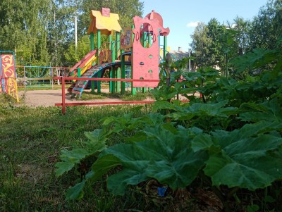 Борщевик на детской площадке: ОНФ проверил игровые зоны в Тверской области - новости ТИА