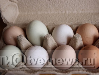 Диетолог предостерегла любителей яиц от злоупотребления продуктом - новости ТИА