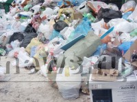 Жители деревни Завирье платили деньги за вывоз мусора, но услугу не получали - новости ТИА