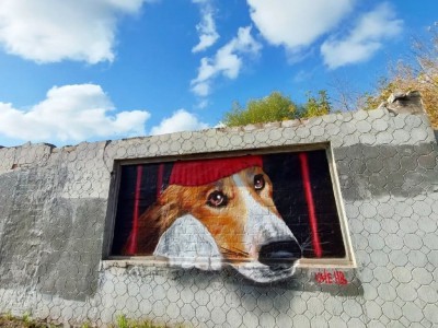 В Твери появилось новое граффити с собакой - новости ТИА