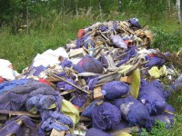 В Тверской области почти 60 га сельхозземель захламлены мусором - новости ТИА