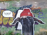 В Твери появилось граффити с мексиканским псом Сильверио - новости ТИА