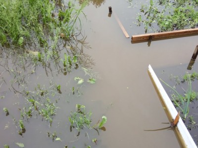 Под Тверью из-за сильных дождей затопило дачные участки и дома - новости ТИА
