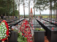 В Бельском районе в День памяти воинов-сибиряков перезахоронили останки 281 бойца - новости ТИА