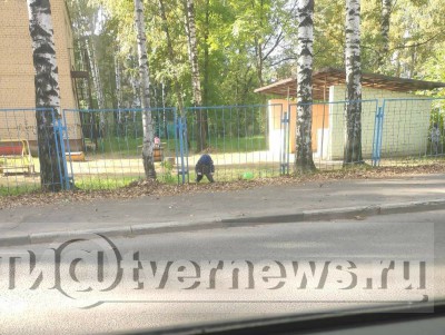В Твери маленький ребёнок застрял в заборе  - новости ТИА