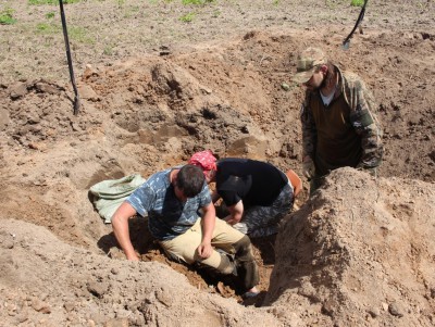 Поисковики обнаружили останки 15 бойцов в Ржевском районе - новости ТИА