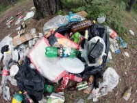 В России может подешеветь вывоз мусора - новости ТИА