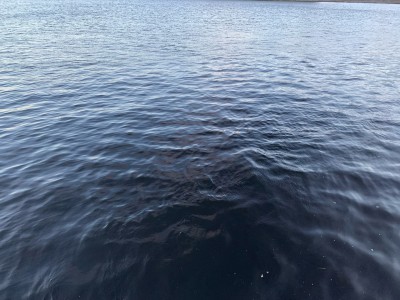 В Жарковском районе в озере нашли тело мужчины - новости ТИА