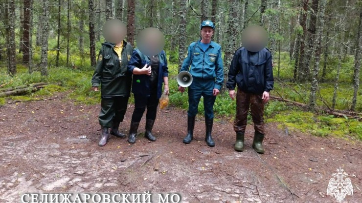 В Тверской области волонтеры и спасатели нашли и вывели из леса заплутавших грибников - новости ТИА