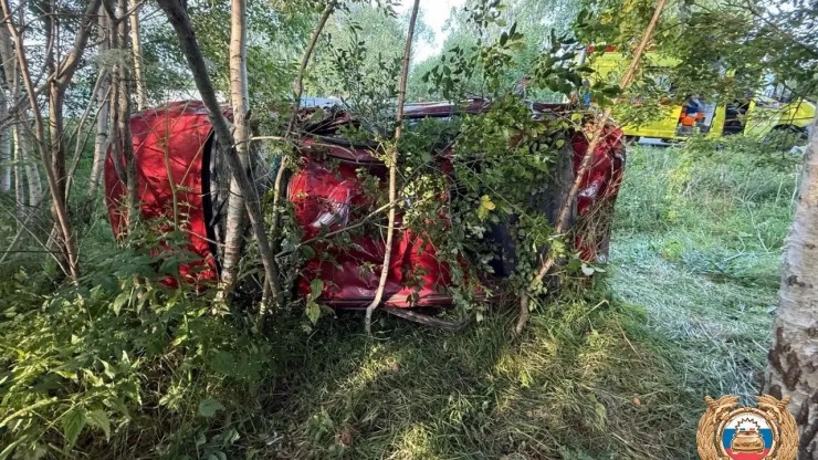 В ДТП под Тверью пострадали два несовершеннолетних пассажира - новости ТИА