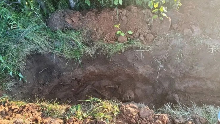 Подо Ржевом на краю огромной воронки нашли останки бойцов - новости ТИА