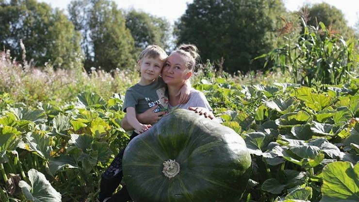 Жительница Калининского округа вырастила самый большой арбуз в Тверской области - новости ТИА