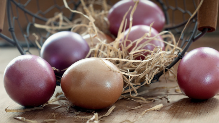 В России предложили торговым сетям ограничить наценки на яйца до 5% - новости ТИА