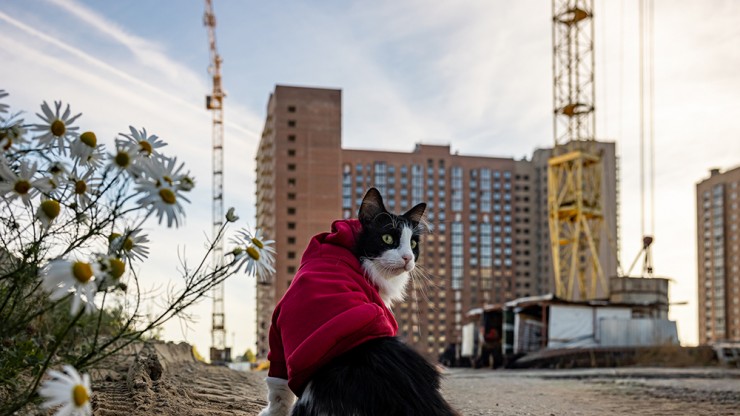 Девелопер "Новый город" подвёл итоги 2025 года: 60 тыс. м² жилья, лидерство в рейтингах и финалист Urban Awards - новости ТИА