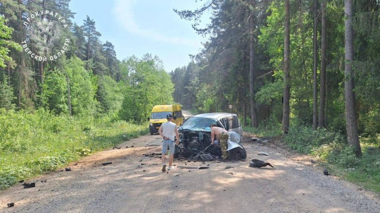 Двух детей, пострадавших в ДТП в Торжокском округе, на вертолёте привезут в Тверь - новости ТИА