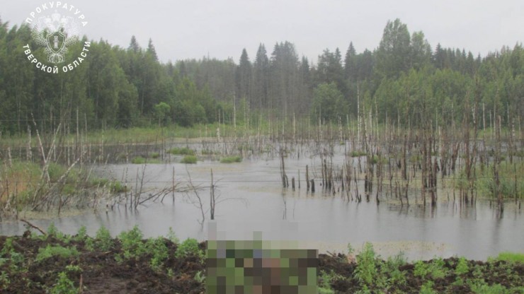 Молодой строитель погиб от удара током на трассе М-11 в Тверской области - новости ТИА