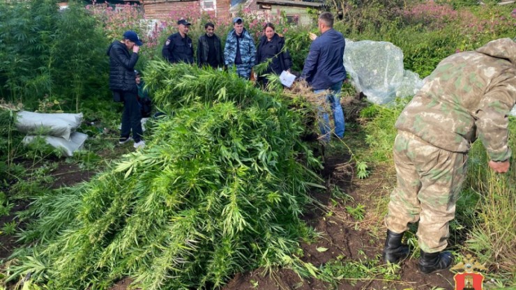 На обыске в Вышнем Волочке служебная собака помогла наркополицейским - новости ТИА