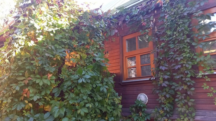 Авито: Тверская область попала в топ-10 регионов по числу бронирований домов с банями - новости ТИА