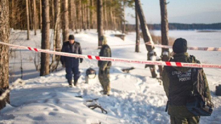 В лесу в Тверской области обнаружены человеческие кости - новости ТИА