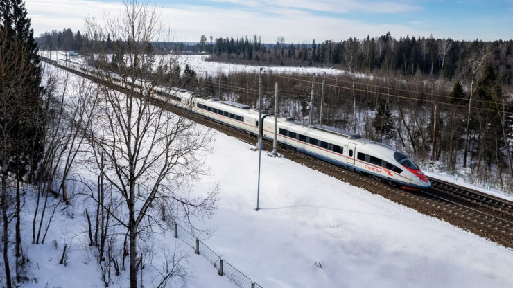 "Сапсан" остановили на полчаса из-за плохого самочувствия пассажира - новости ТИА