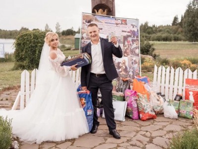 Молодожёны вместо цветов на свадьбу попросили принести корм для животных - новости ТИА