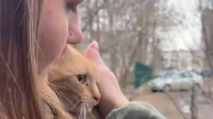 В Тверской области волонтёры "Совы" помогли снять кота с высоты пятого этажа - новости ТИА
