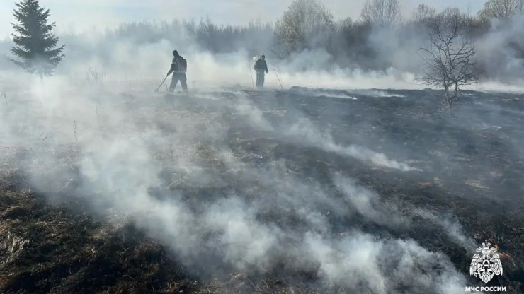 За день в Тверской области подожгли восемь полей - новости ТИА