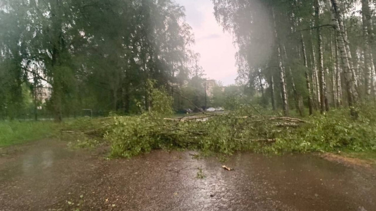 В Редкино бушевала гроза: улицы затопило и повалило ветром деревья - новости ТИА