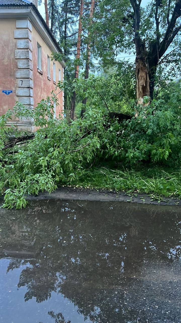 В Редкино бушевала гроза: улицы затопило и повалило ветром деревья |  03.06.2024 | Тверь - БезФормата