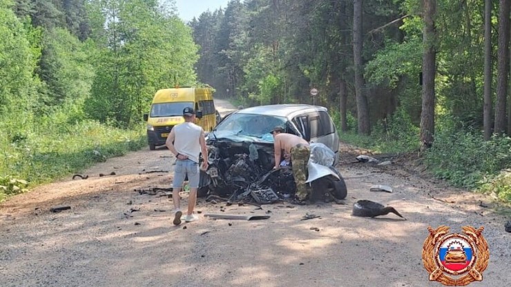Появились подробности ДТП в Тверской области, где пострадали две девочки и женщина - новости ТИА