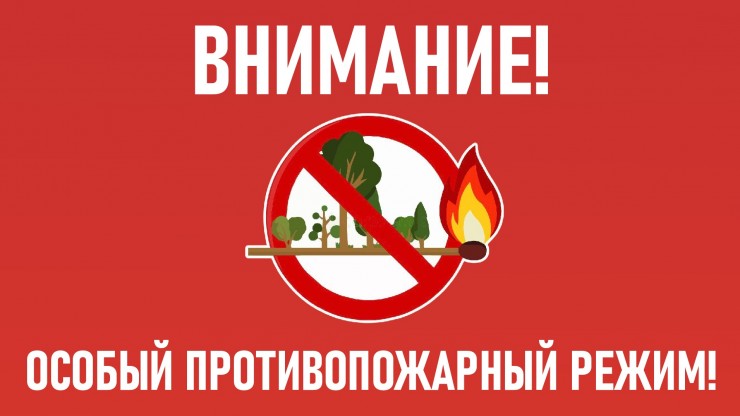 В Тверской области с 11 июня вводится особый противопожарный режим - новости ТИА