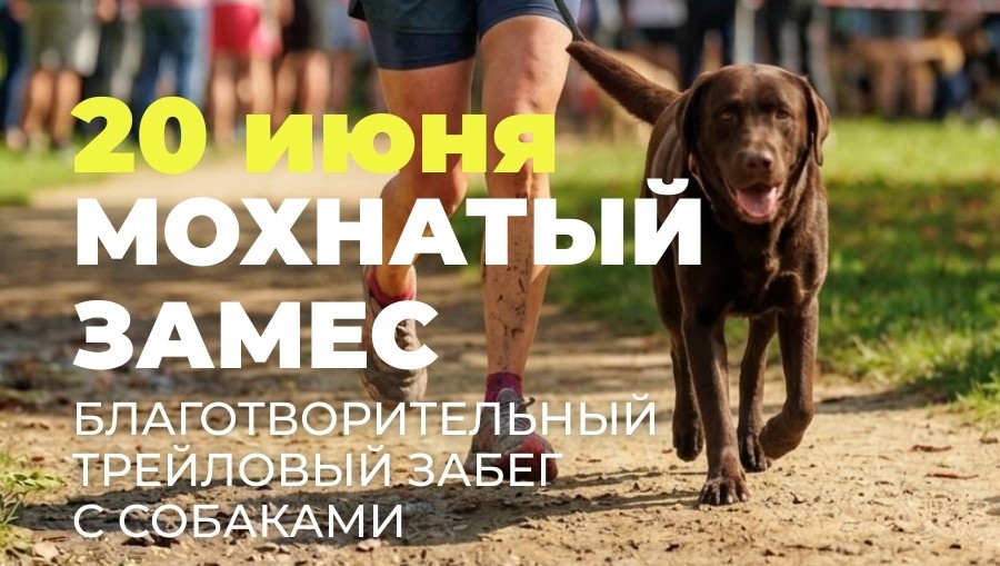 Фото: Инициативная группа по защите животных