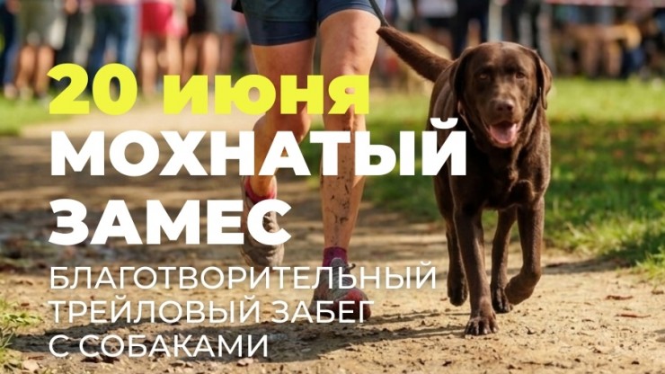 Под Тверью проведут приключенческий забег для собак и их хозяев - новости ТИА