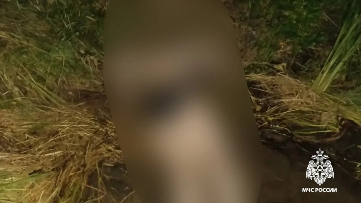 В Тверской области утонула женщина - новости ТИА