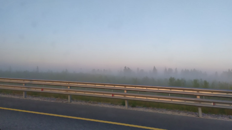 МЧС по Тверской области предупреждает о тумане ночью и утром 4 сентября - новости ТИА