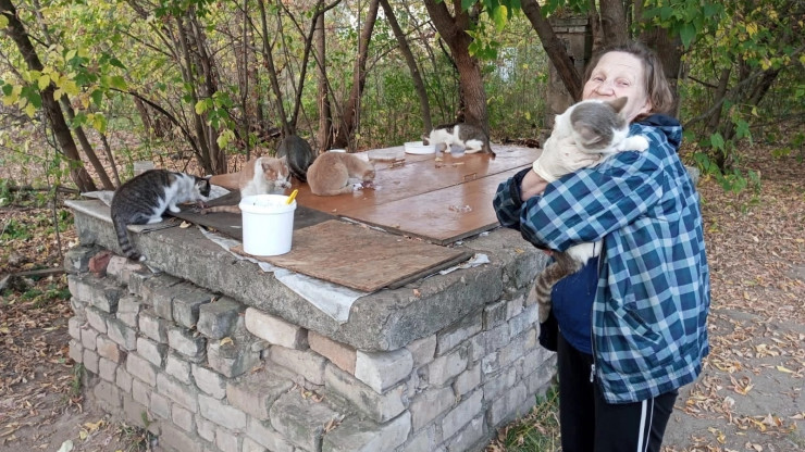 В Тверской области бабушки отловили четырёх уличных кошек на стерилизацию - новости ТИА