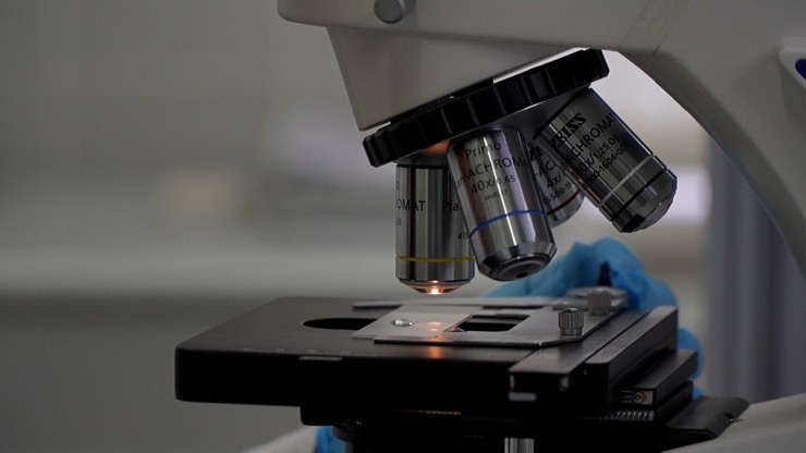 В Тверской области выявлены мясные продукты с опасными бактериями и незаявленной ДНК - новости ТИА