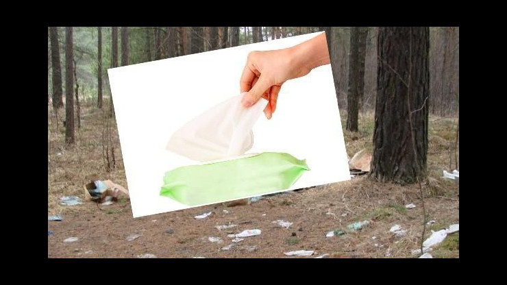 Жителей Тверской области призывают не пользоваться влажными салфетками в лесу - новости ТИА